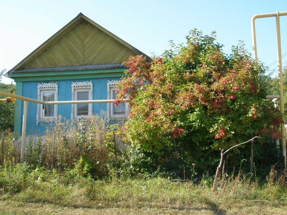 Погода городцовка самарская область