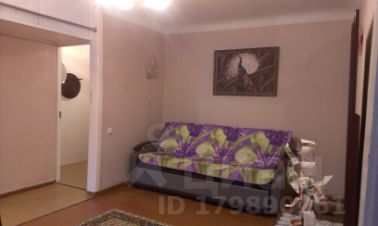 Как арендовать квартиру в Самаре на новогодние праздники 2019 года изображения Как арендовать квартиру в Самаре на новогодние праздники 2019 года изоражения