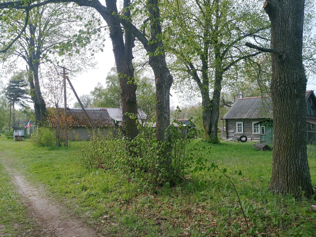 Купить Участок В Гдовском Районе Псковской