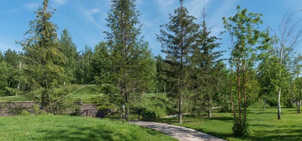 купить квартиру в ЖК Кедровый