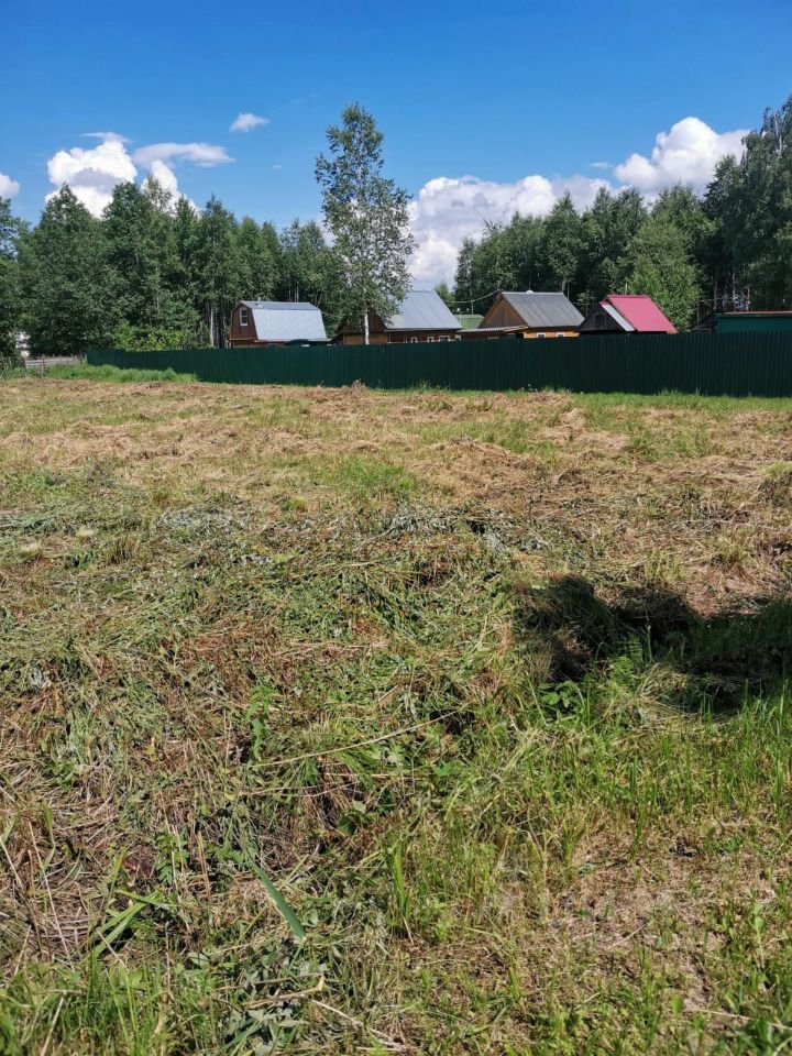 Деревня платунино московская область. СНТ Ягодное Талдомский район.