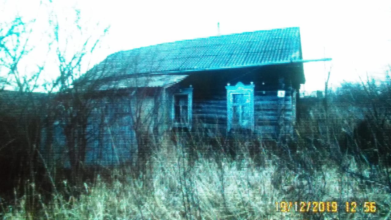 Ласицы сасовский район фото деревня