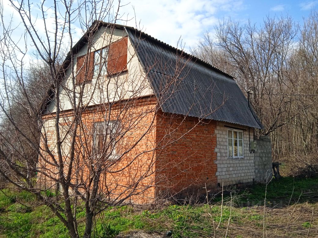 Новоусманский Район Фото