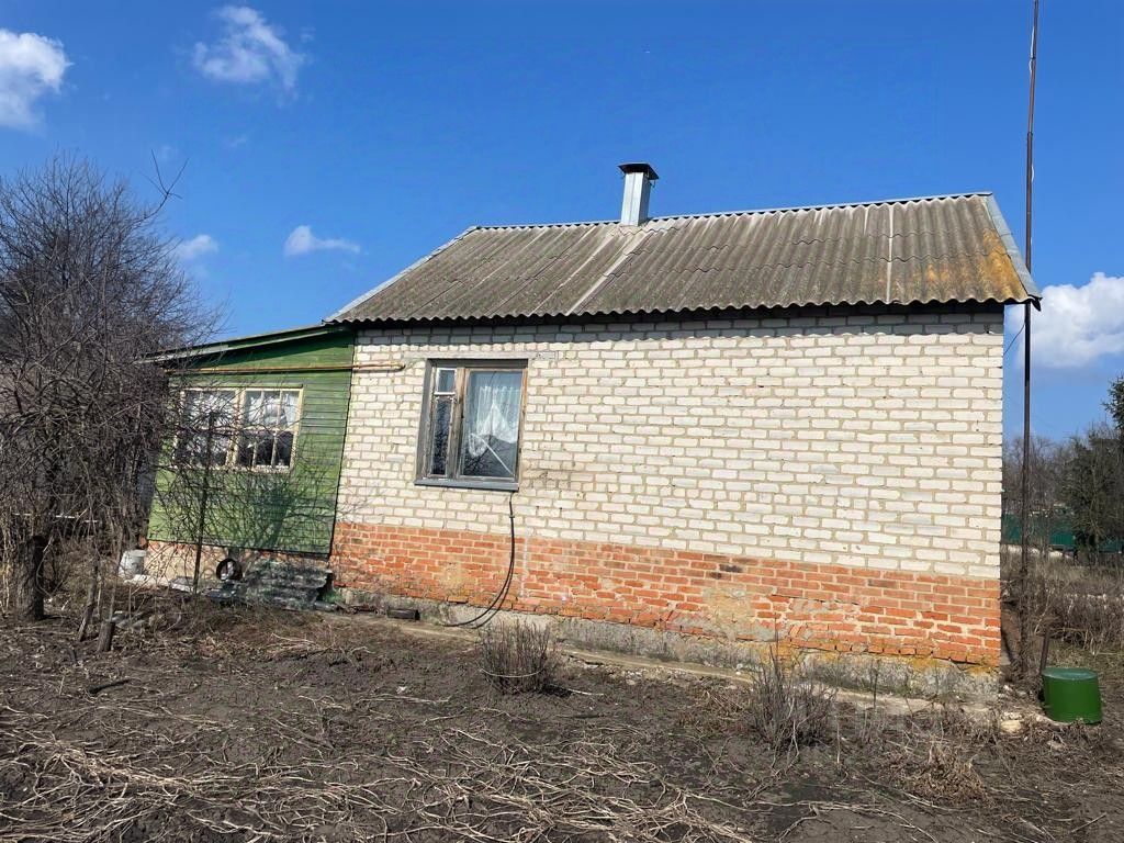 Радчино Рамонский Район Купить Дачу