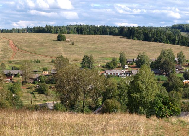 Погода пермский край село вознесенское верещагинского. Пермский край Верещагинский район деревня комары. Деревня комары Пермский край. Деревня Никитята Верещагинский район. Верещагинский лес Пермский край.