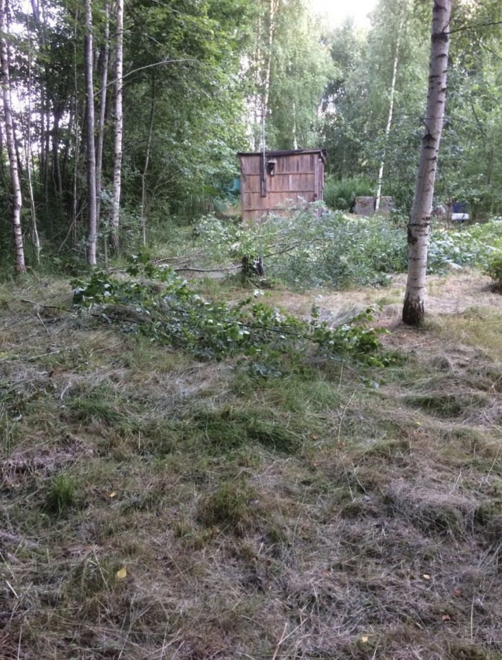 Изображение галлереи