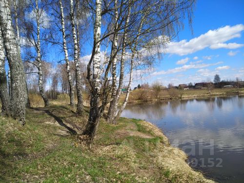 Черное озеро Щелковский район: рыбалка, описание, место