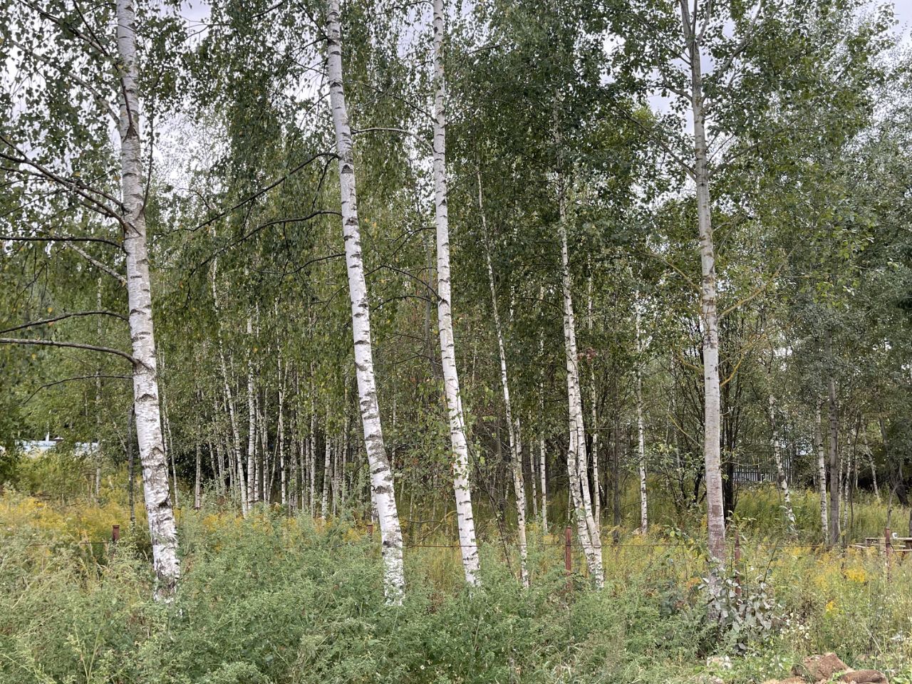 Купить Участок В Лесу В Красногорском Районе