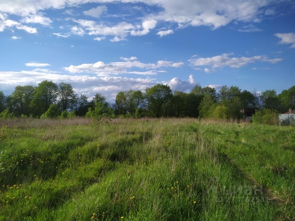 Погода в веревское солнечногорский