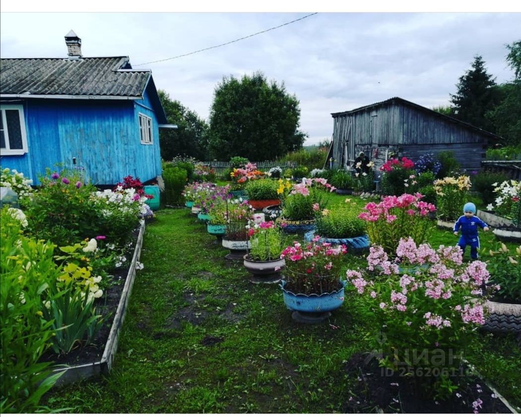 Купить Дом В Поддорье Новгородской Области