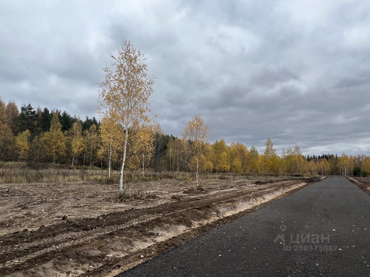 Мишутинская Слобода Павловский Купить Участок