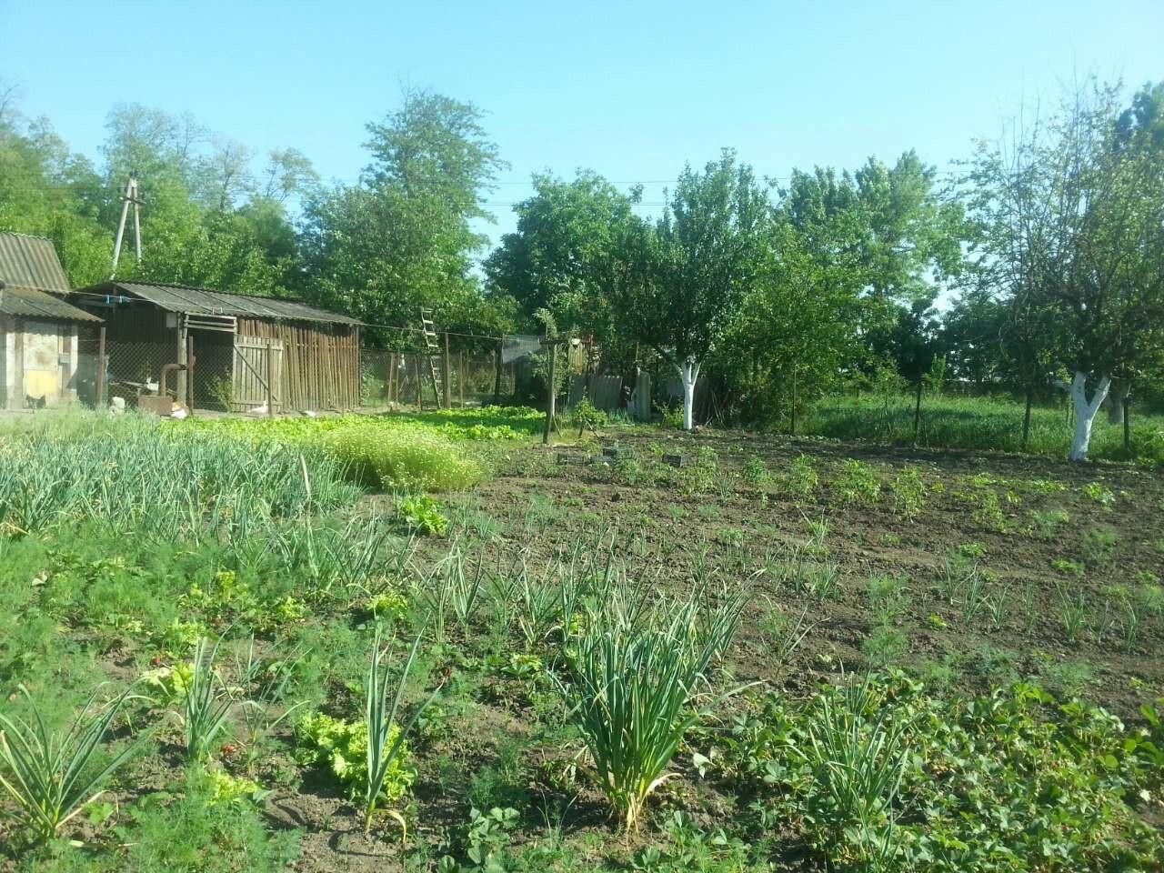 Село юровка анапский. Юровка ул Садовая 248 администрация. С Юровка ул рабочая Краснодарский край. Юровка Южная 28. Юровка новая Москва.