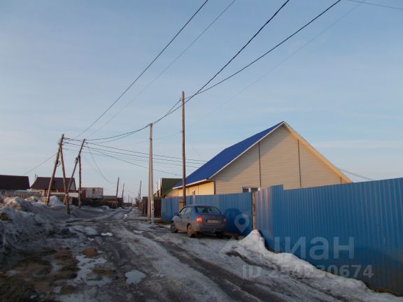 Снять Номер На Заимке На Новый Год