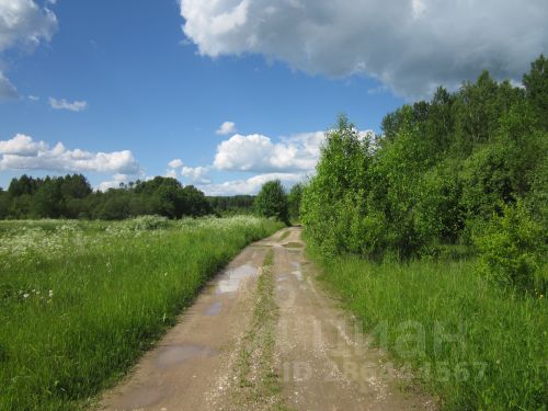 Дорожное строительство в новгородской области