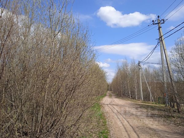 Д лесная новгородский район