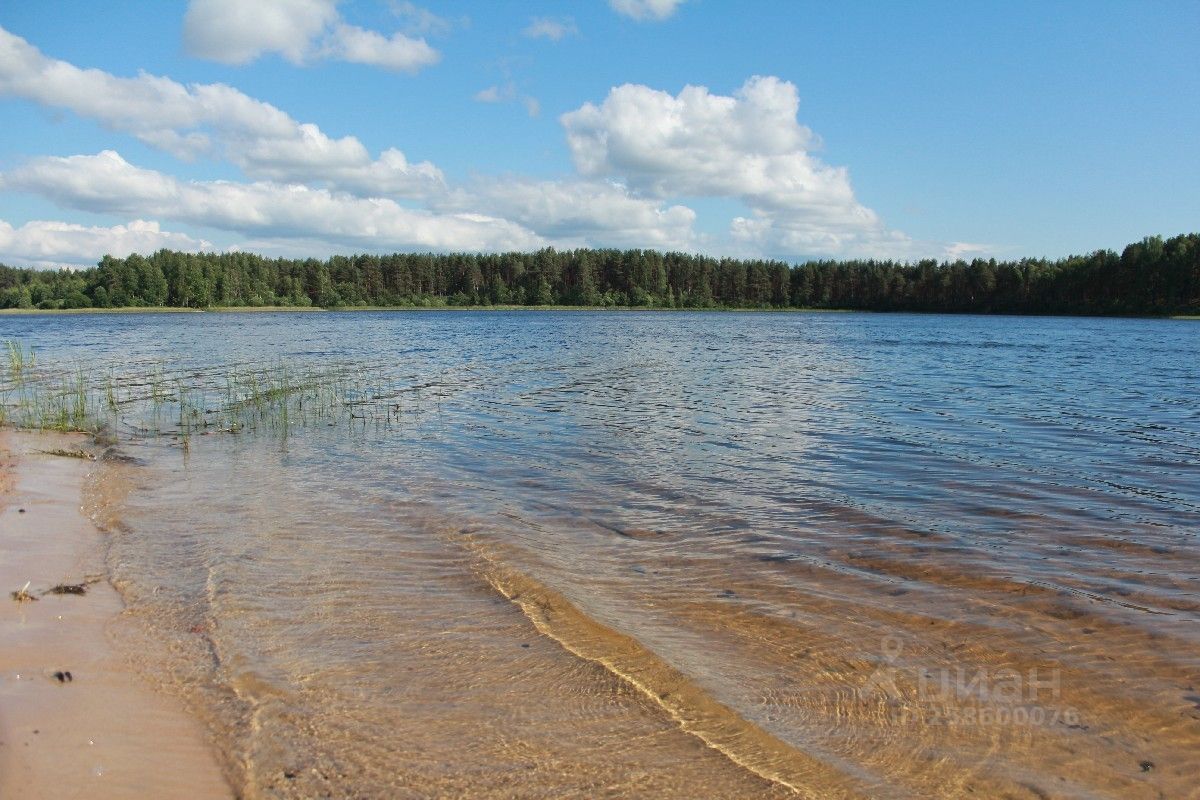 Купить Участок У Псковского Озера