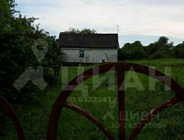 Дом из сруба в широкой балке