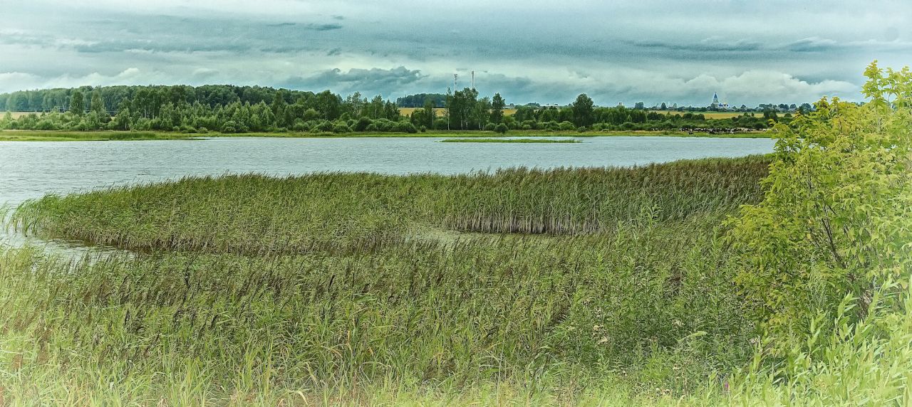 Нижегородский гектар. Почвы Нижегородской области Чкаловский район.