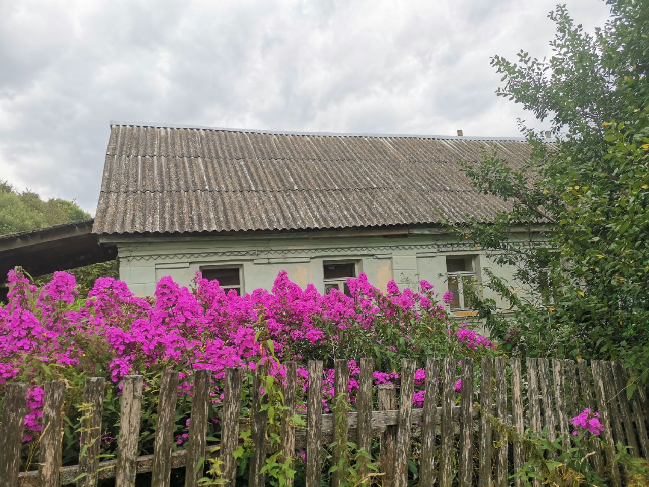 Деревня подол. Азарово Брянская область.