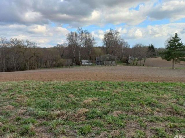 Княжое 1 починковский район. Деревня княжое смоленская область. Княжое 1 починковский район. Смоленская обл починковский район д макшеево. Княжое починковский район.