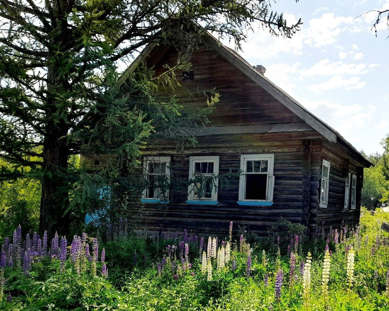 Красные станки новгородская область