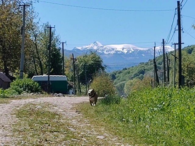 Пхия Карачаево Черкесская домики