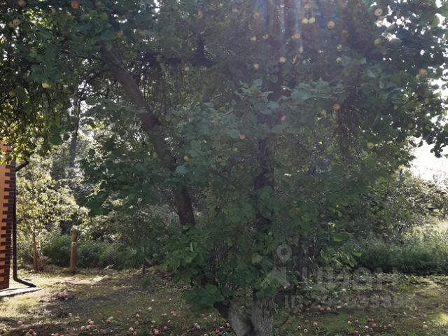 куйбышевское калининградская область. поселок куйбышевское калининградская область. куйбышевское калининградская область. калининград дома. куйбышевское калининградская область.