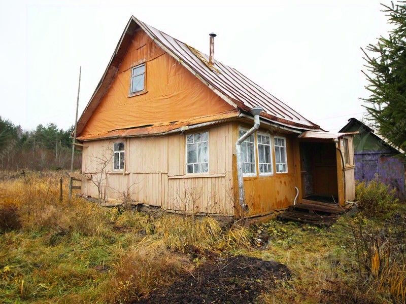 Снт парус чаща. Садоводство арсенал в чаще. Снт березка гатчинский район. Снт энергия чаща. Снт заря чаща гатчинский район.