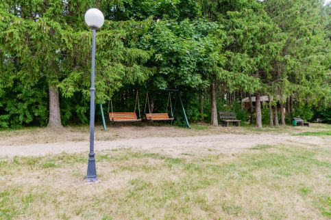 Сколько процентов рябин составляют из 85 деревьев в парке Сколько процентов рябин составляют из 85 деревьев в парке