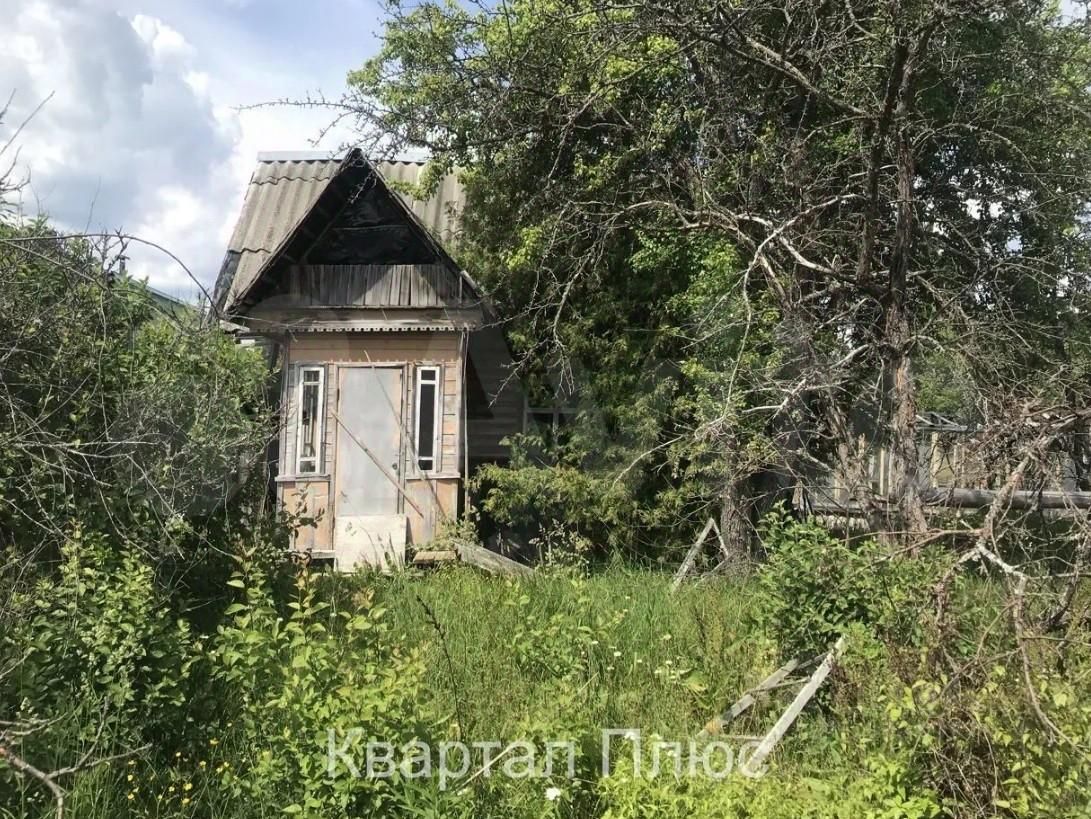 Купить Дачу Лужский Район Мшинская
