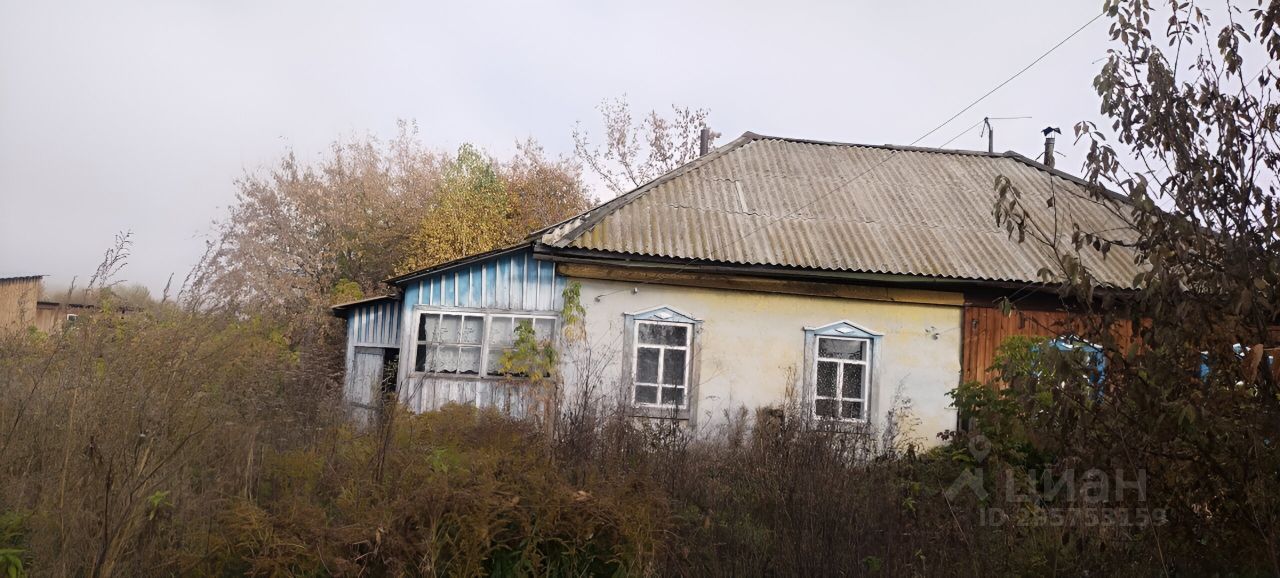 Нижняя ненинка алтайский край. Нижняя ненинка алтайский край