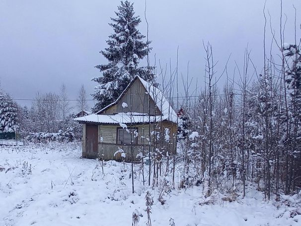 Купить Дом С Участком В Снт Невское