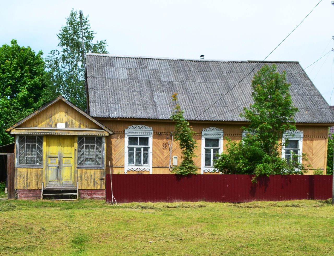 Стеклянная радица брянская. Виноградово поселок.