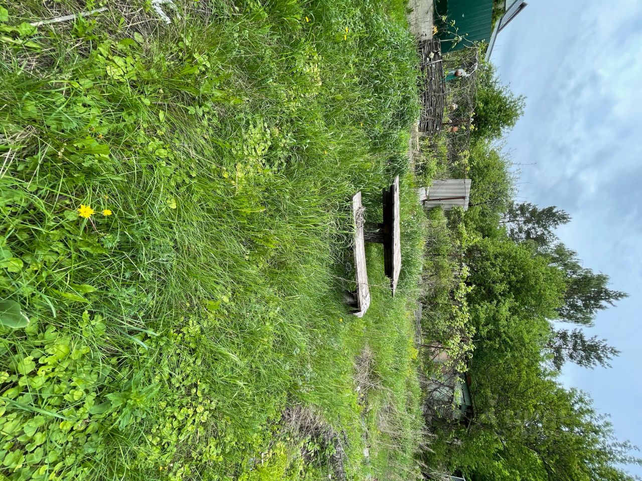 Продаю дом 50.3м² Воронежская область, Рамонский район, Березовское с ...