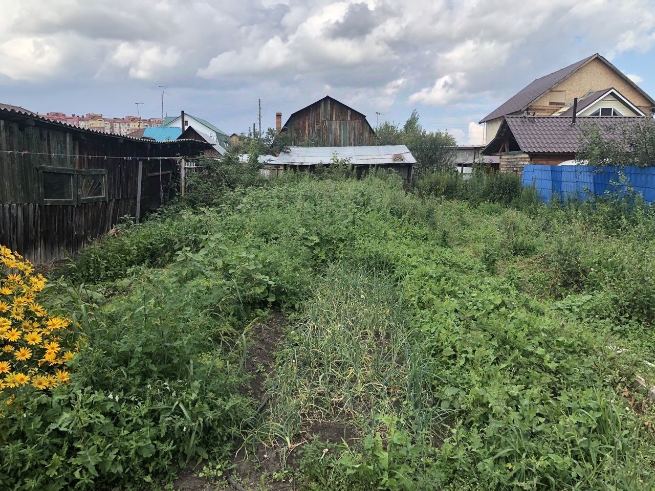 тюмень молодогвардейцев 73. молодогвардейцев тюмень. куплю дом в селе шандра мироновский район. молодогвардейцев тюмень. прием металлолома в тюмени.