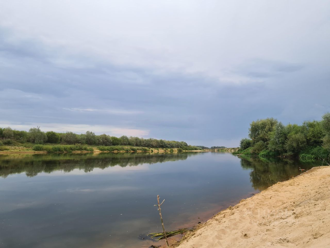 Устье сасовский. С Устье Рязанская область село. Село Устье.