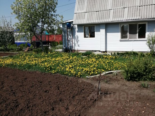 Фото Садоводов Кировской Области