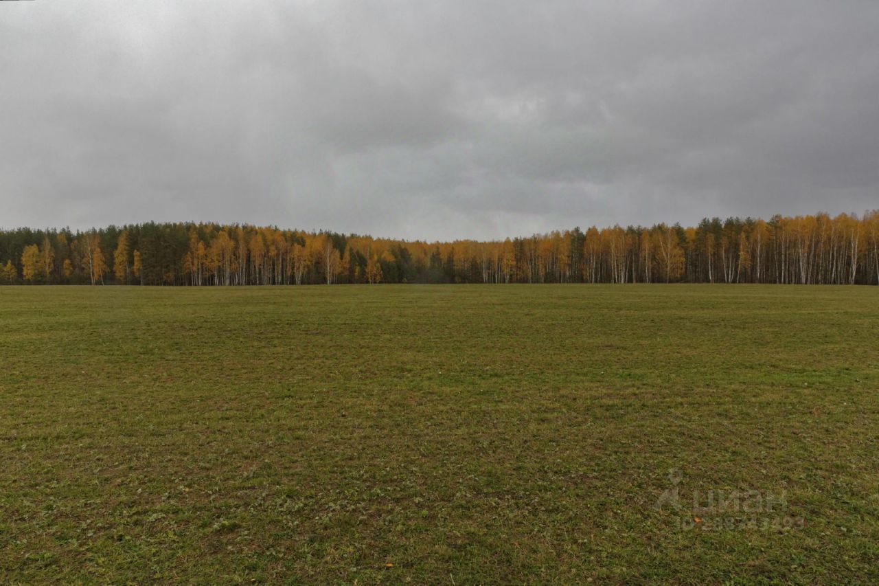 Нижегородский гектар