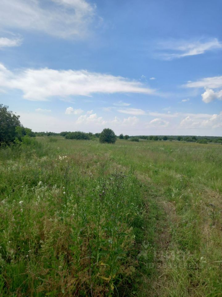 Нижегородский гектар