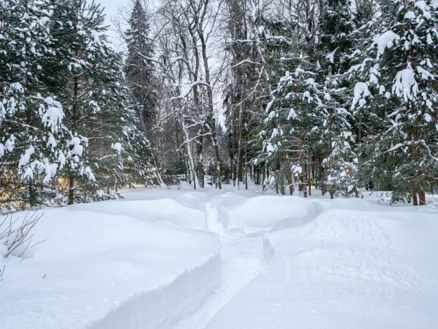 Сувениры из натурального дерева (дуб, ольха)