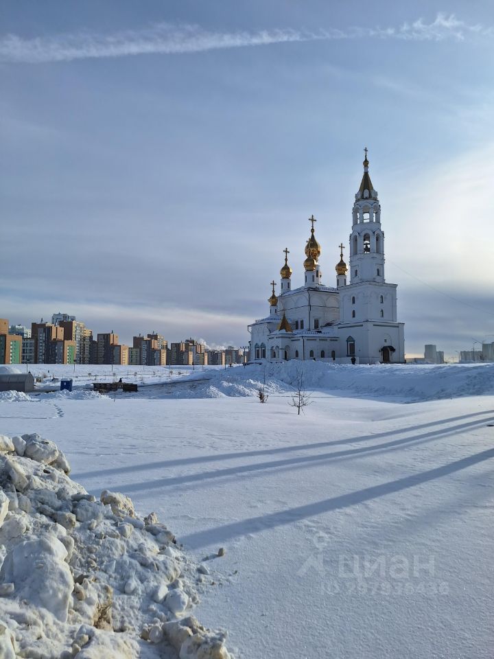 Преображенский парк зимой