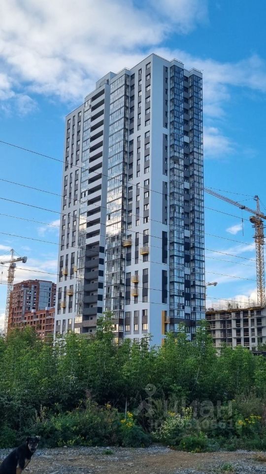 Пехотинцев 5/1. Новая сортировка пехотинцев екатеринбург. Новая сортировка пехотинцев. Пехотинцев 6. Новая сортировка пехотинцев.