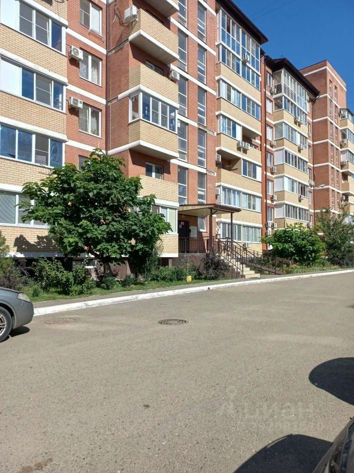 краснодар душистая 63 фото. душистая 30. душистая 30. душистая 30 краснодар. душистая 30.