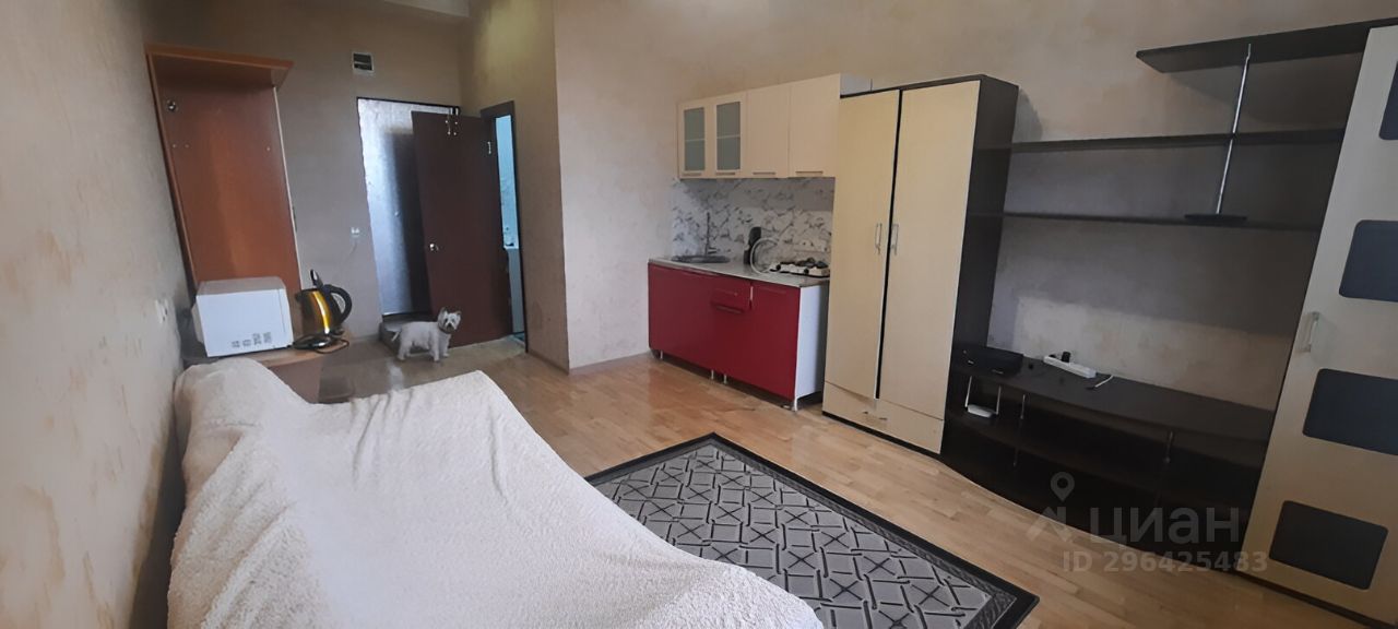 Аренда квартиры-студии 22м² имени газеты Красноярский Рабочий просп ...