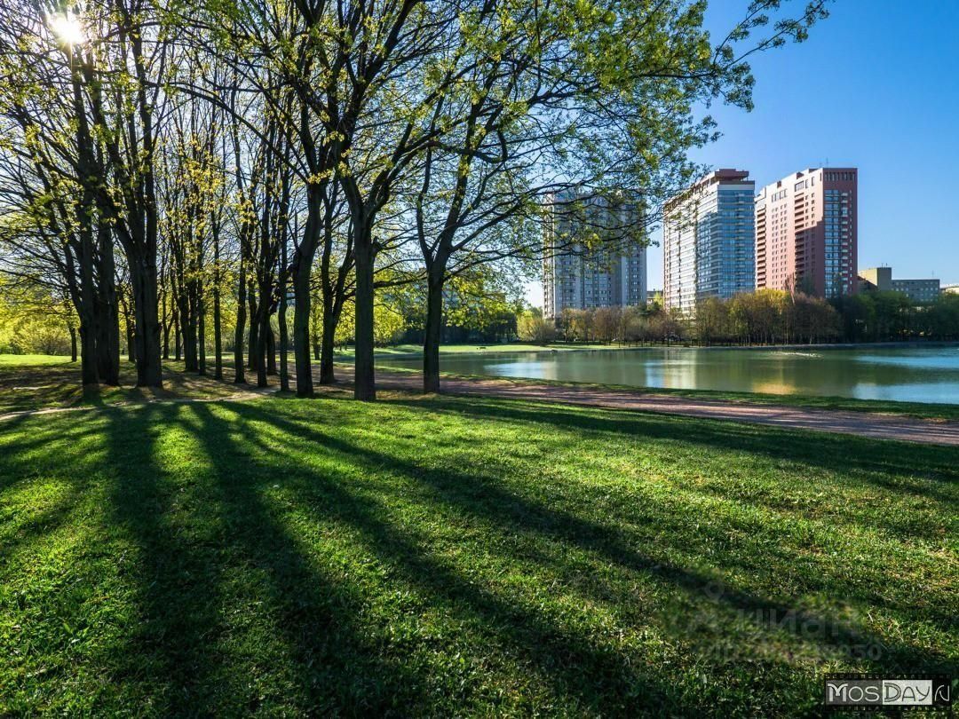 Парк дворца пионеров Москва. Парк дворца пионеров на Воробьевых горах. Пруд Воробьевы горы дворец пионеров. Пруд дворца пионеров на Воробьевых горах.