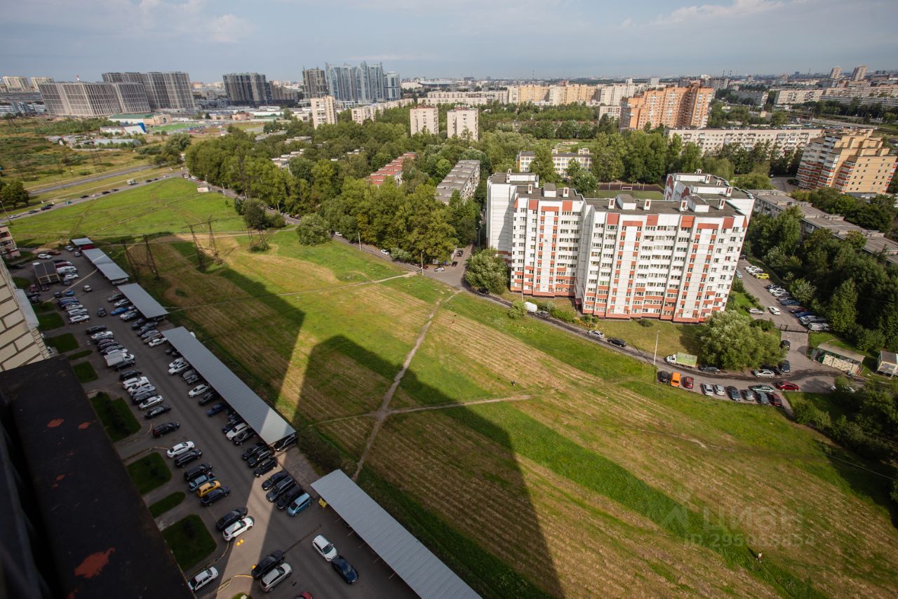 спб пицца метро звездная фото 16