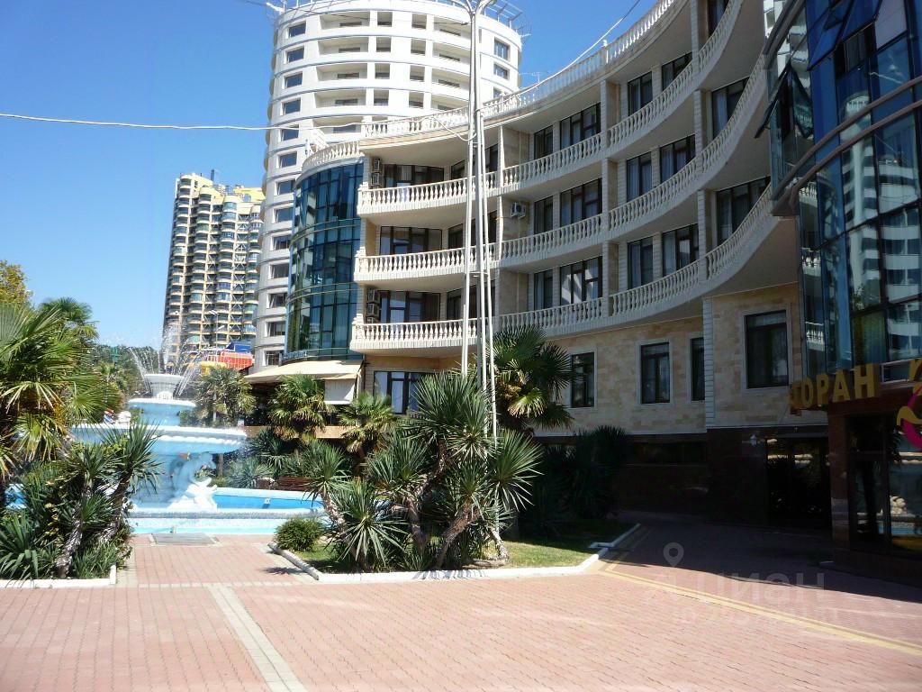Черноморская 19 сочи отель дельфин. Dolphin sochi. Черноморская 19 сочи отель дельфин. Черноморская 19 сочи отель дельфин. Ак дельфин сочи.