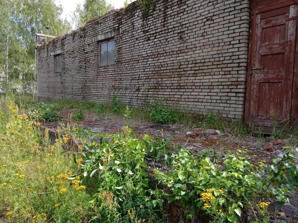 погода в губкине. Rp5 чебоксары. рп5 королев московская область. рп5 хабаровск. Rp5 тольятти.