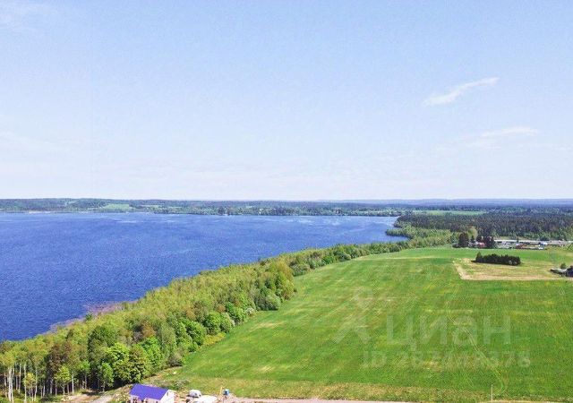 Озеро Борисовское - отличное место для рыбалки в Ленинградской области