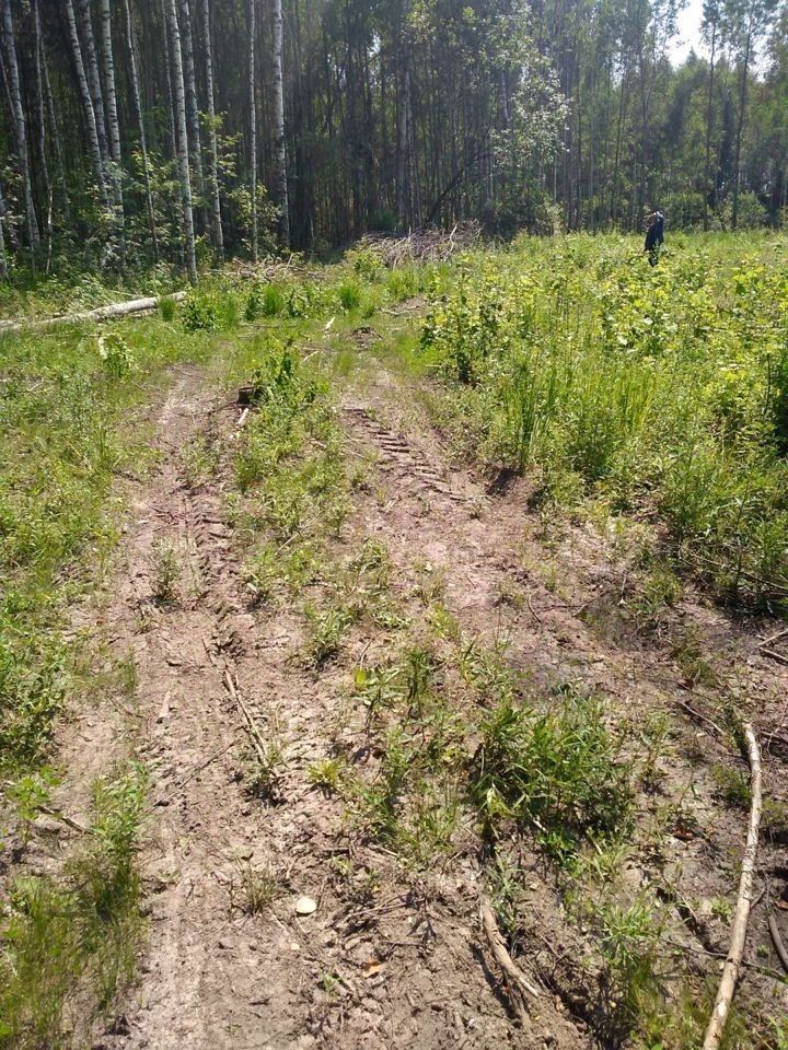 Нижегородской гектар